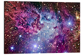 Aluminium print The Fox Fur Nebula