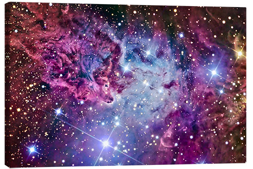 Canvas print The Fox Fur Nebula