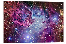 Foam board print The Fox Fur Nebula