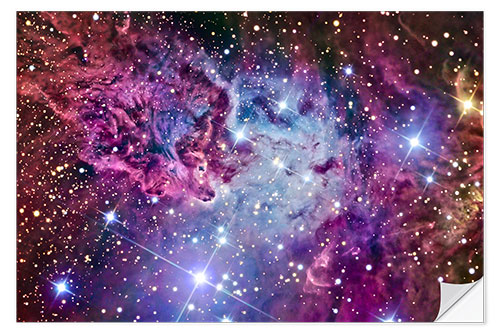 Wall sticker The Fox Fur Nebula