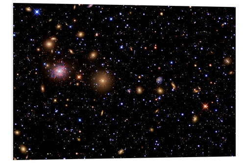 Quadro em PVC The Perseus Galaxy Cluster