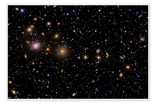 Plakat The Perseus Galaxy Cluster