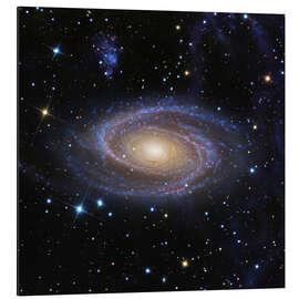 Tableau en aluminium Galaxie M81