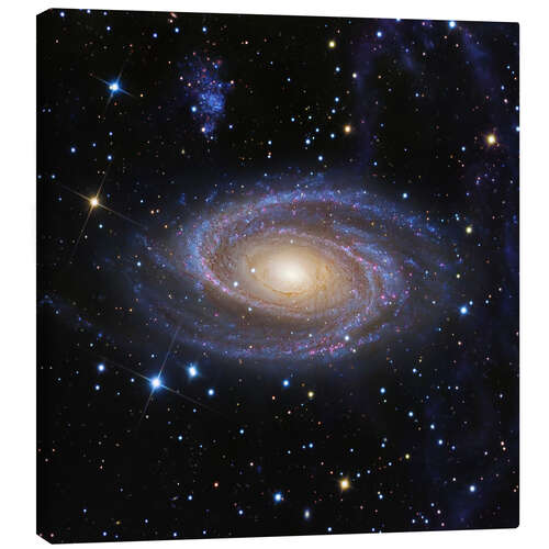 Canvas print Bode's Galaxy