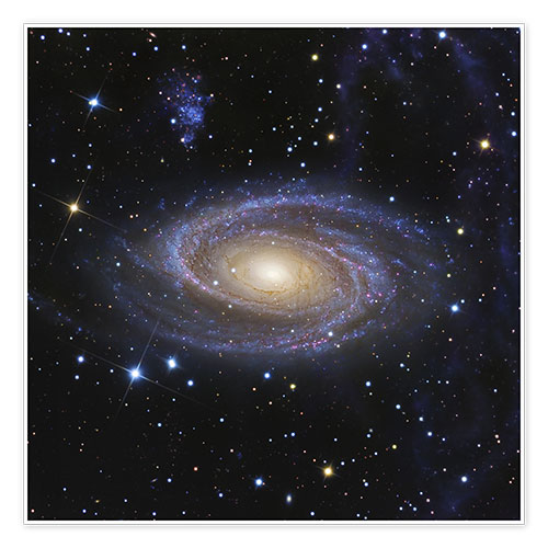 Poster Galaxie M81