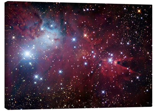 Canvas-taulu Cone Nebula Region