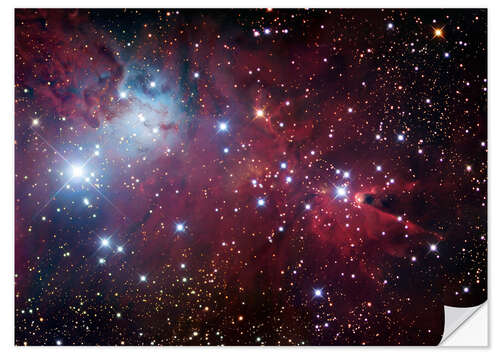 Sticker mural Cone Nebula Region