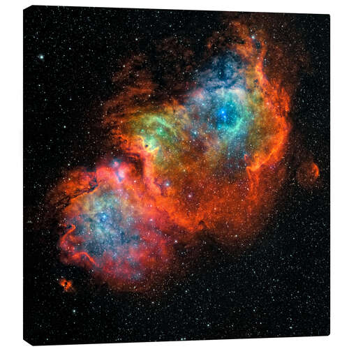 Canvas print Soul Nebula II