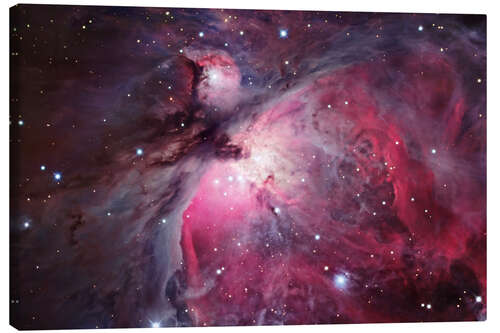 Canvas print Orion Nebula