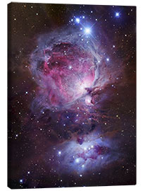 Stampa su tela  Nebulosa di Orione - Robert Gendler