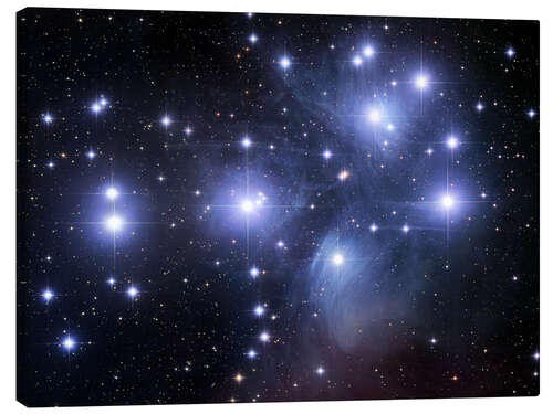 Canvas print The Pleiades