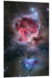 Foam board print The Orion Nebula