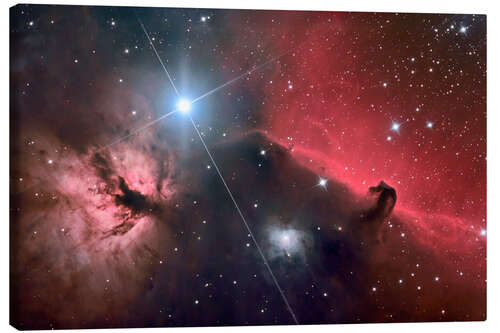 Canvas print The Horsehead Nebula