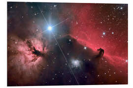 Foam board print The Horsehead Nebula