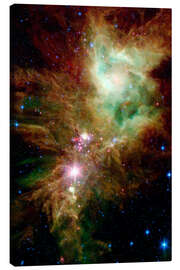 Lienzo  Newborn stars - NASA