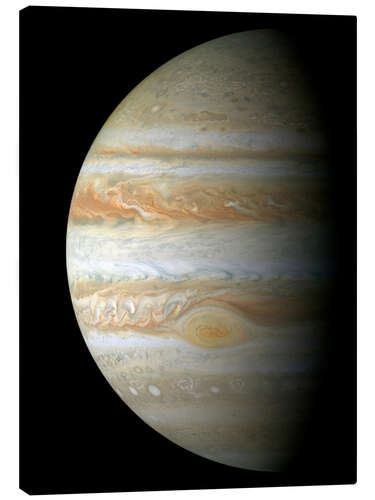 Canvas print Jupiter