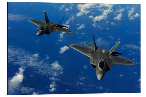 Tableau en aluminium F-22 Raptors