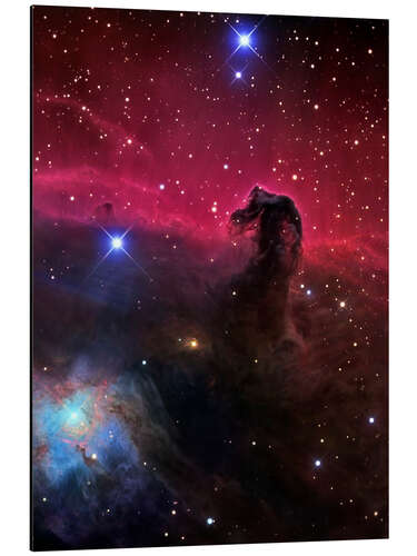 Aluminiumsbilde The Horsehead Nebula II