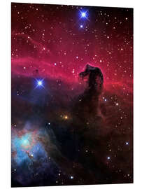 Print på skumplade The Horsehead Nebula II