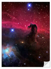 Naklejka na ścianę The Horsehead Nebula II