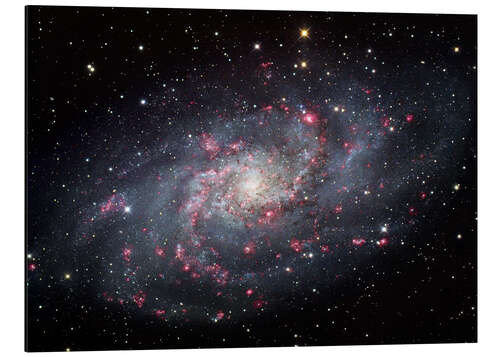 Aluminium print The Triangulum Galaxy