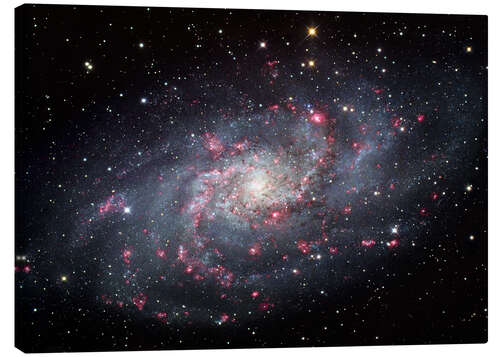 Canvas print The Triangulum Galaxy