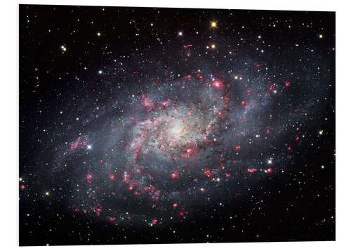 Foam board print The Triangulum Galaxy