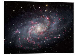 Foam board print The Triangulum Galaxy