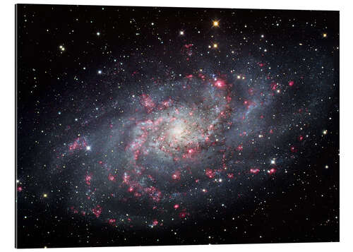 Tableau en plexi-alu The Triangulum Galaxy