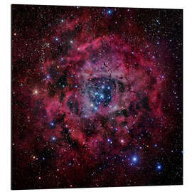 Aluminium print The Rosette Nebula