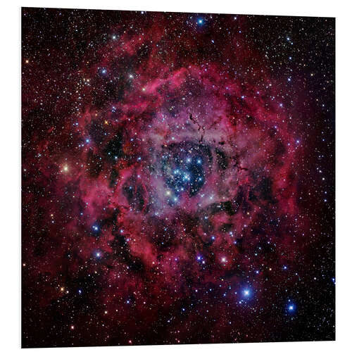 Foam board print The Rosette Nebula