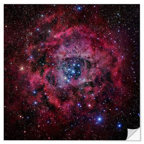 Wall sticker The Rosette Nebula