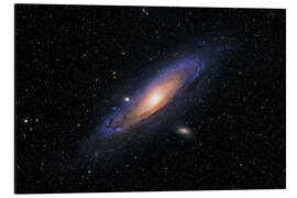 Aluminium print The Andromeda Galaxy