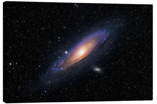 Canvas print The Andromeda Galaxy