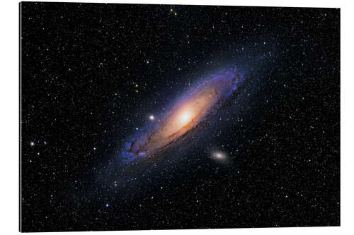 Gallery print The Andromeda Galaxy