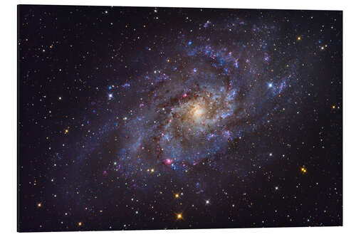 Aluminiumtavla The Triangulum Galaxy