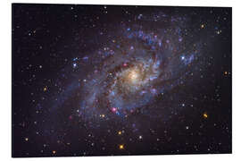 Aluminium print The Triangulum Galaxy