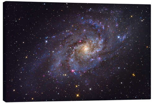 Canvas print The Triangulum Galaxy