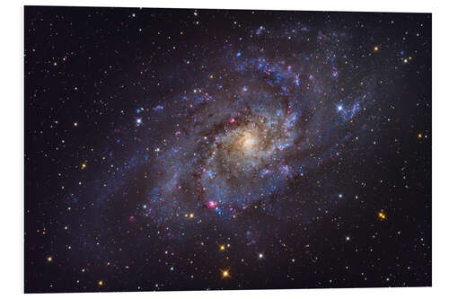 Bilde på skumplate The Triangulum Galaxy