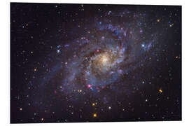 Foam board print The Triangulum Galaxy