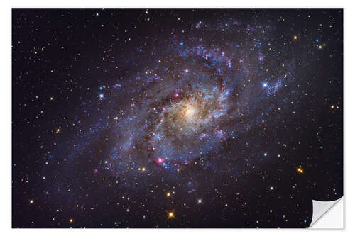 Muursticker The Triangulum Galaxy