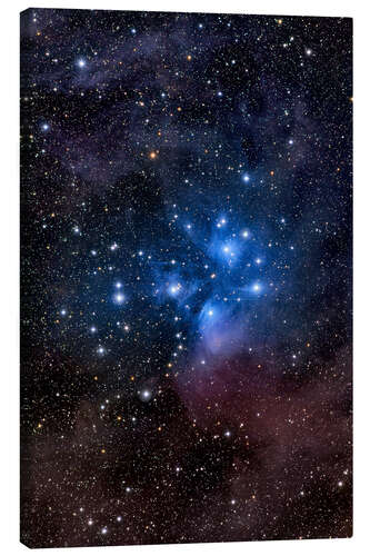 Canvas print The Pleiades