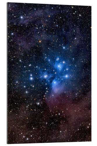 Gallery print The Pleiades