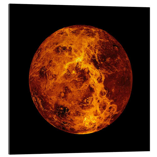Acrylic print Venus