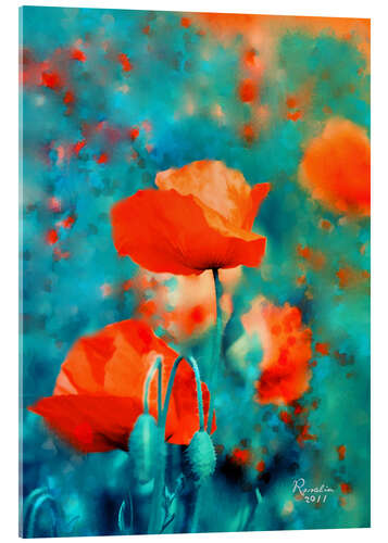 Acrylglasbild Mohnblumen