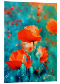 Quadro em plexi-alumínio Poppies