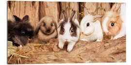 Gallery print Cute rabbits