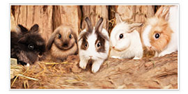 Kunstwerk  Cute rabbits - Photoplace Creative