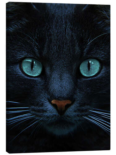 Canvas print eyes of blue