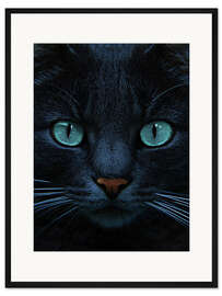 Gerahmter Kunstdruck blue eyes